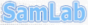 SamLab.ws - Программы и русификаторы